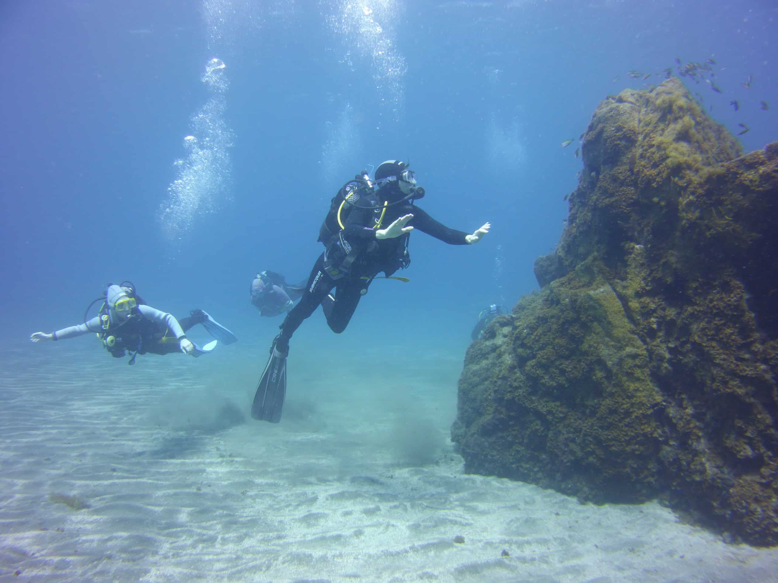Diving Center tenerife with Ocean Trek