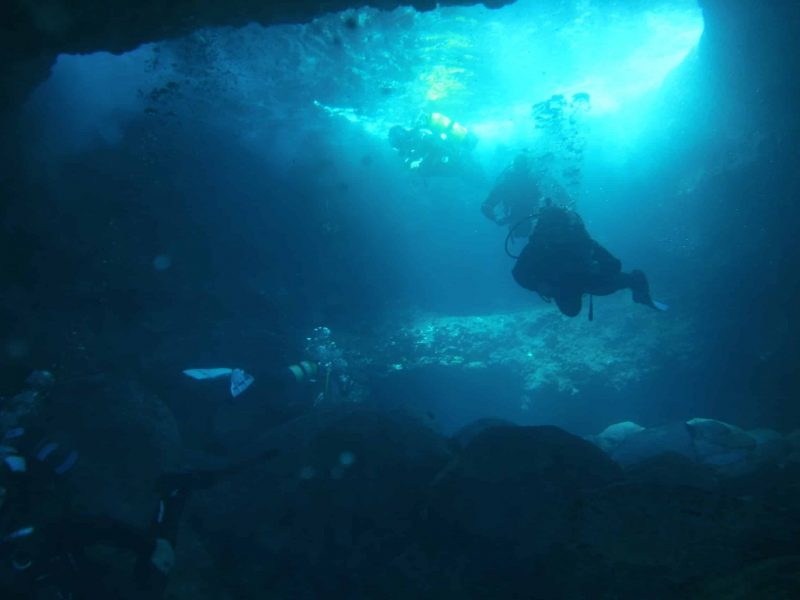 Diving School Tenerife Ocean Trek | PADI 5* Dive Center