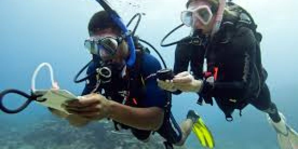 Special Course Underwater Navigation - Diving Center Tenerife