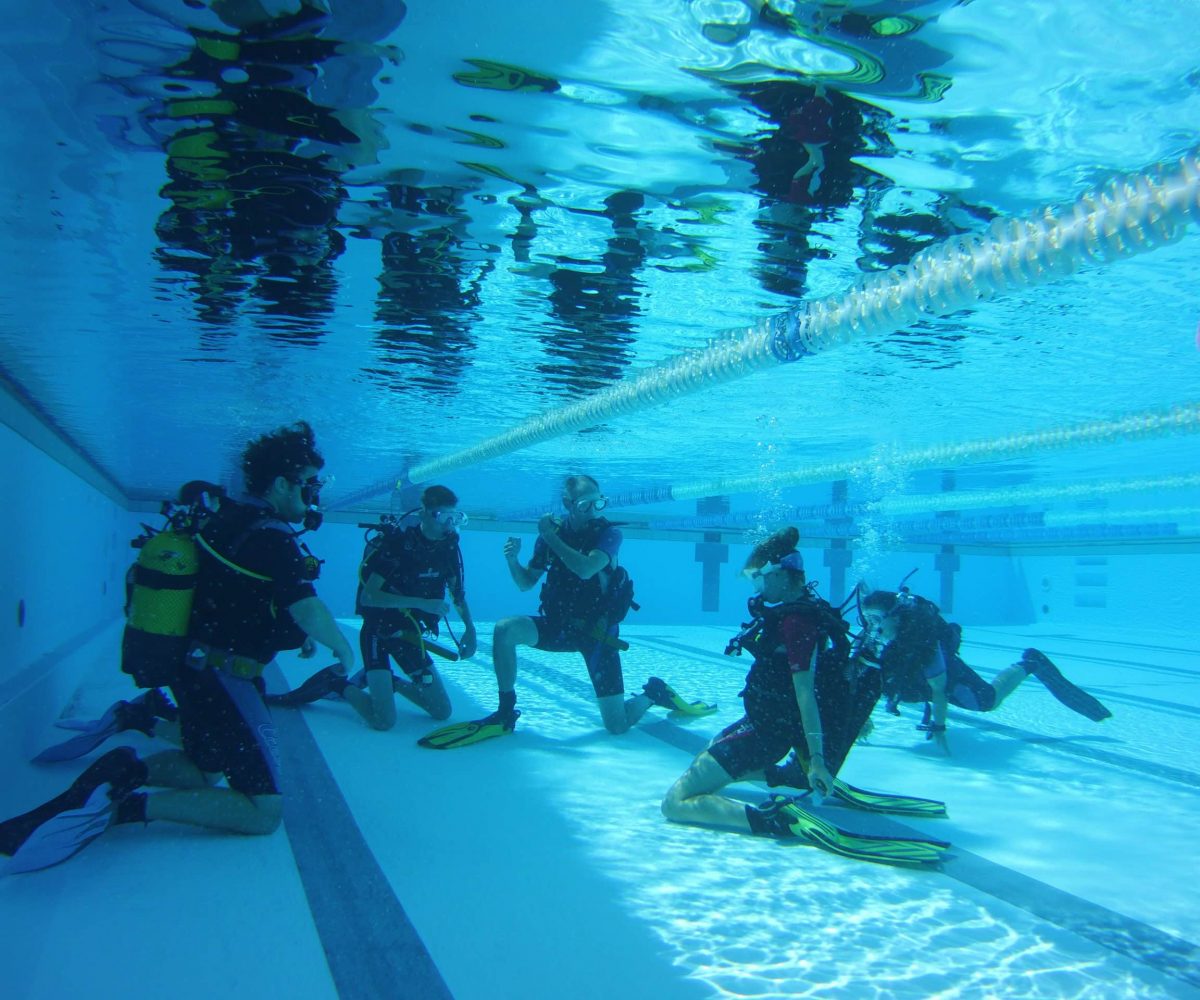 try dive with ocean trek tenerife